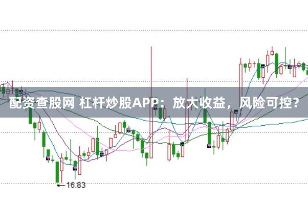 配资查股网 杠杆炒股APP：放大收益，风险可控？
