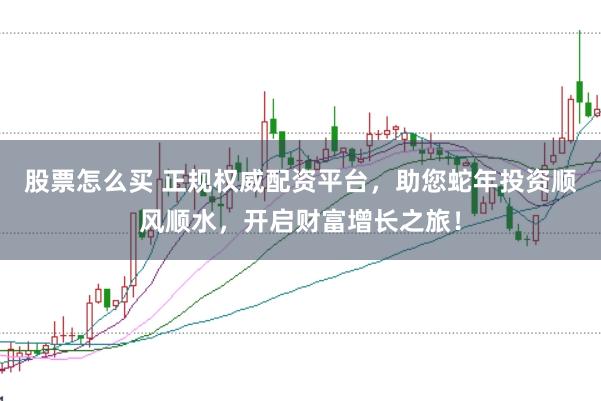 股票怎么买 正规权威配资平台，助您蛇年投资顺风顺水，开启财富增长之旅！