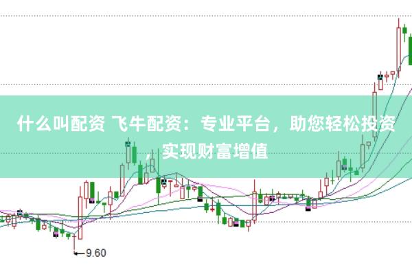 什么叫配资 飞牛配资：专业平台，助您轻松投资，实现财富增值